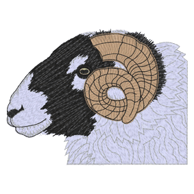 Animals (A50) Sheep 4x4