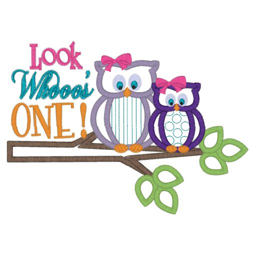 Birthday (94) Look Whoos One Owl Applique 5x7