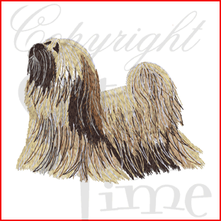 Dogs (15) Lhaso Apso 4x4