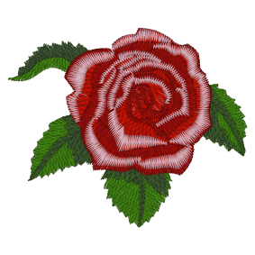 Flower Power (A22) Rose 4x4