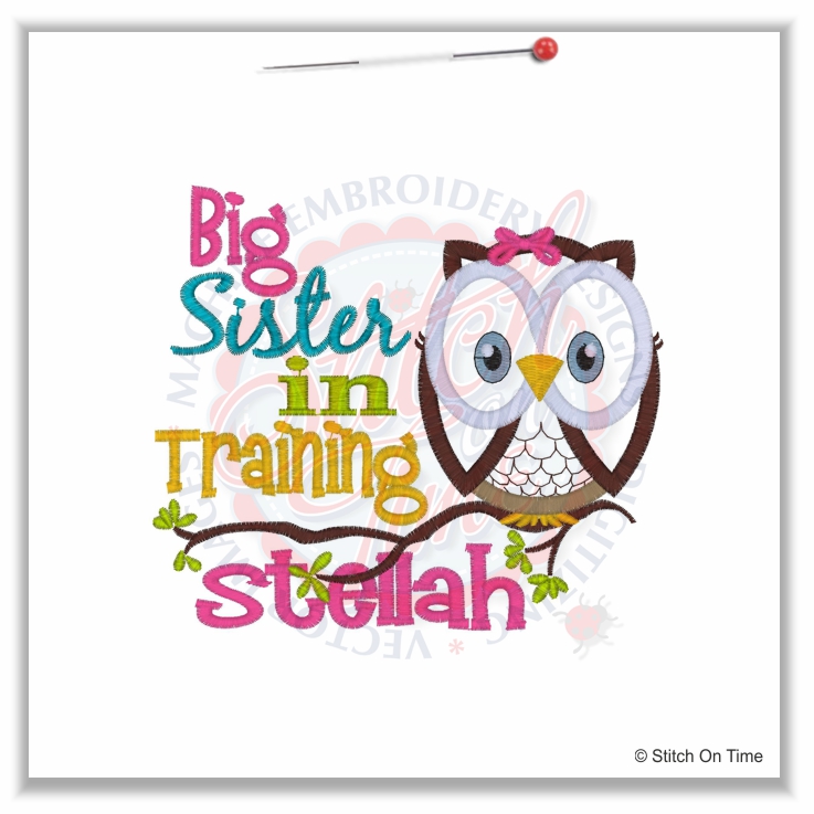 4953 Sayings : Big Sister In Training Owl Applique 5x7
