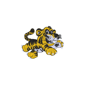 Tiger (A21) 2x2