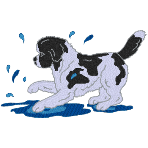 Dogs (A6) Dog In Puddle 5x7