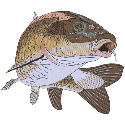 Fish (A19) Carp 5x7