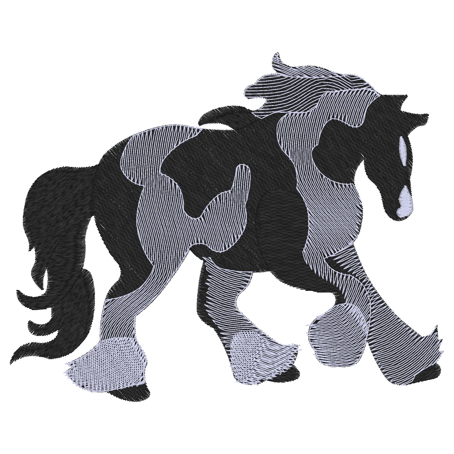 Horses (56) 5x7