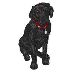 Labrador (A4) Dog 4x4