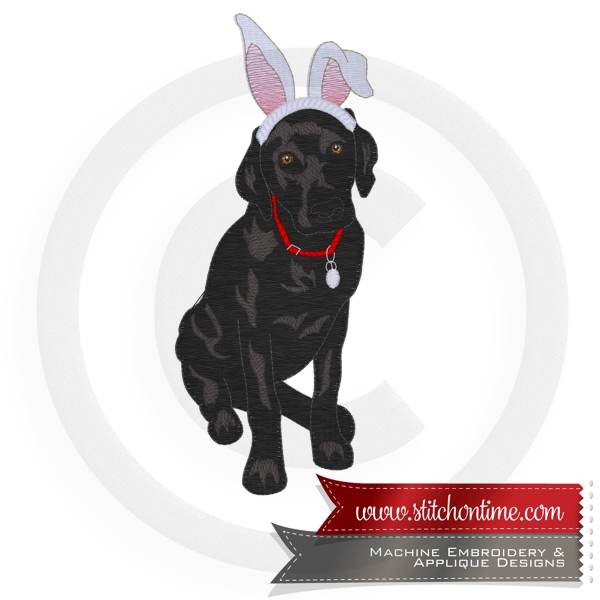 5 Labrador : Dog With Bunny Rabbit Ears 5x7