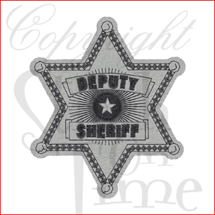 Police (16) Sheriff Badge 3x3