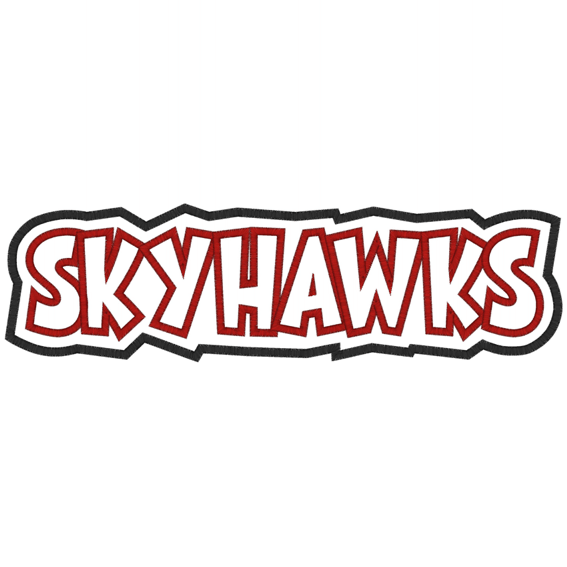 Sayings (2493) Skyhawks Applique 12x12
