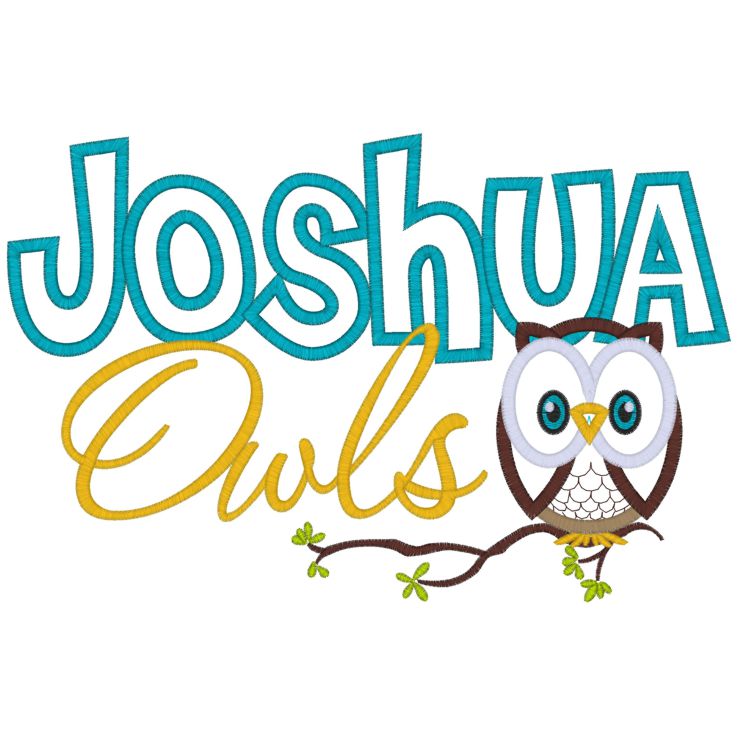 Sayings (4056) Joshua Owls Applique 7x10