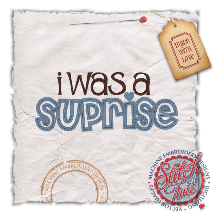 Sayings (4362) I Was A Suprise Applique 5x7
