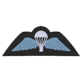 War (A59) Badge 4x4